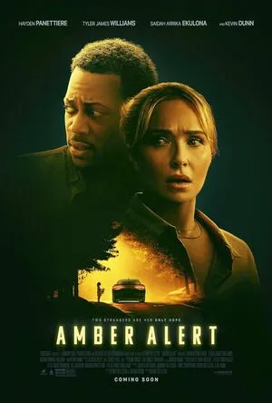 Amber Alert 2024 Hindi Dual Audio WEB-DL 1080p - 720p - 480p